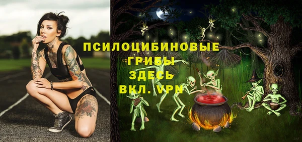 PSILOCYBIN Заволжье