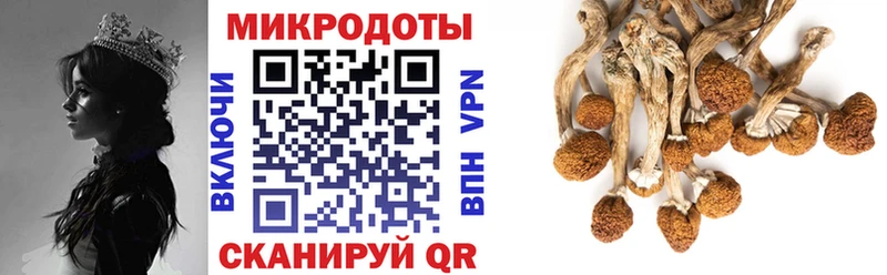 Галлюциногенные грибы мицелий  Купить закладки  Малмыж 