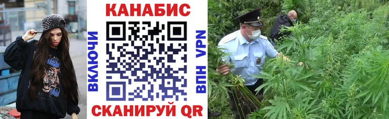 Бошки марихуана планчик  Купить где  Малмыж 